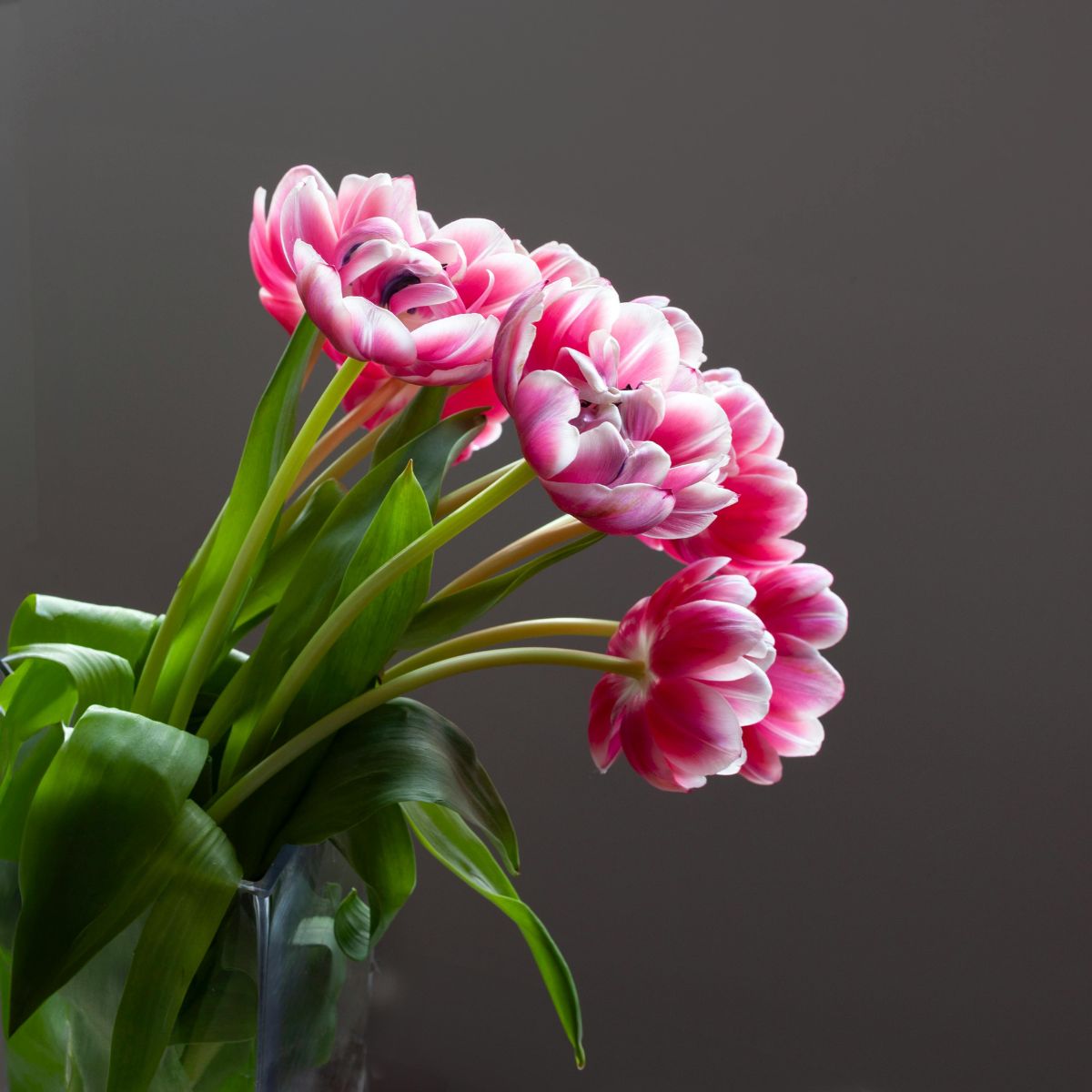 flores-denia floristeria-en-denia