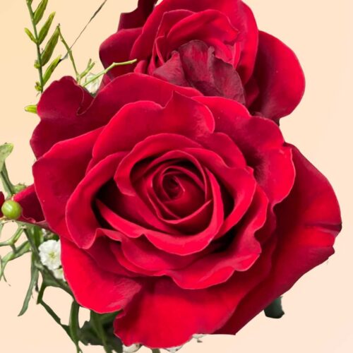 Regalo para San Valentín en Denia