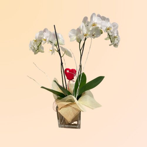 Floristeria en Denia