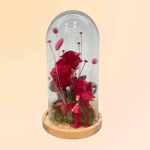 rosas eternas en Denia