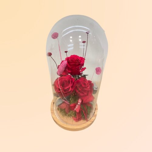 rosas eternas en Denia